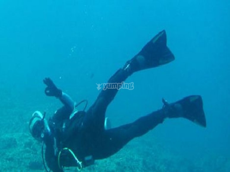 Quinto Sol, precios y reservas 2024